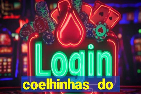 coelhinhas do brasil recife